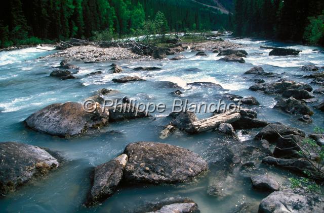 canada alberta 18.JPG - Kicking horse riverRivières et cascadesParc national de YohoColombie BritanniqueCanada